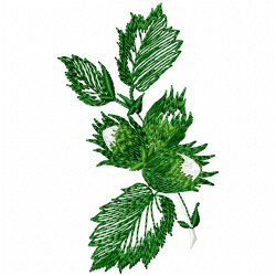 Plants Embroidery Design 1